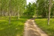 Dirt Road