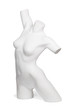 White Torso