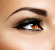 Photo: Brown Eye Makeup. Eyes Make-up Brown Eye Makeup. Eyes Make-up