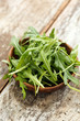 fresh arugula salad