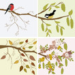 Four seasons- spring, summer, autumn, winter