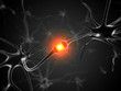 3d rendered medical illustration - active neurone