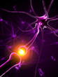 3d rendered medical illustration - active neurone