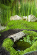 The Pond