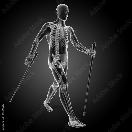 Illustration: 3d rendered medical illustration - nordic walking 3d rendered medical illustration - nordic walking