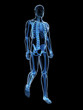 3d Rendered Medical Illustrati...
