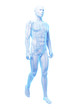 3d Rendered Medical Illustrati...