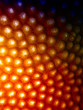 Colors and Textures of the Great Barrier Reef