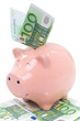 Smiling  Piggy bank with euro bills