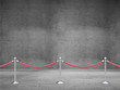 stanchions barrier