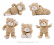Teddy bear positions part 3 of 3