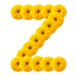 letter of the alphabet of flowers