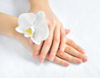 Beautiful woman hands with white orchid flower