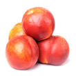 Nectarines isolated
