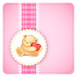 Teddy Bear in Lace background