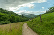 Foto: Winding path Winding path