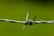 Barbed wire
