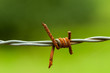 Barbed wire