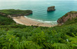 Cove and vegetation