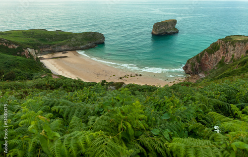 Photo: Cove and vegetation Cove and vegetation