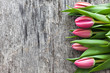 Tulpen auf Holz