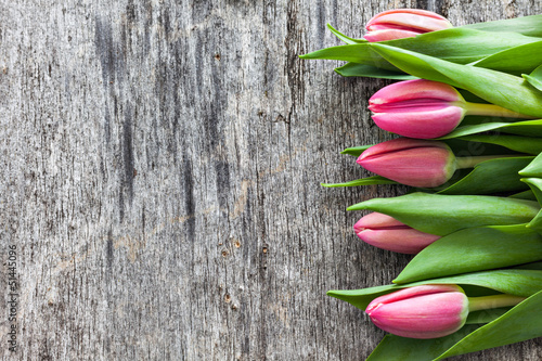 Photo: Tulpen auf Holz Tulpen auf Holz