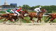 Horse Racing
