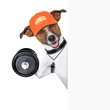 fitness dog  banner