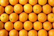 Orangen geordnet