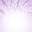 Vektor: spring branches spring branches