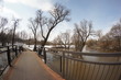 spring flood