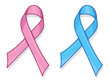 support ribbon
