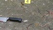 Crime Scene Pan