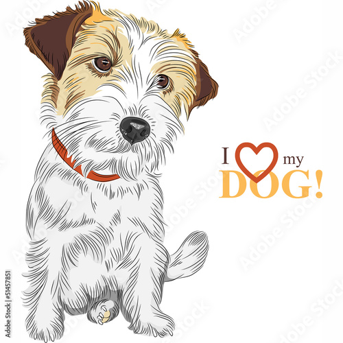 Vector: vector sketch dog Jack Russell Terrier breed vector sketch dog Jack Russell Terrier breed