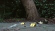 Marking Evidence