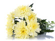 Bouquet of beautiful chrysanthemums isolated on white