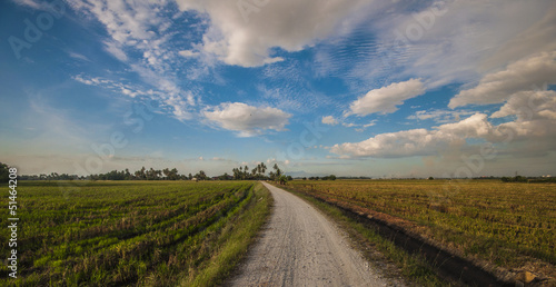 Photo: road to home town road to home town
