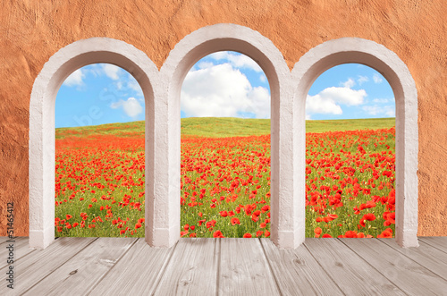 Illustration: Arkaden und Mohnwiese Arkaden und Mohnwiese