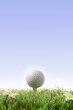 Golf sports