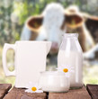 Milch mit Kühen im Hintergrund