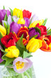 Tulpenstrauss