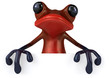 Red Frog