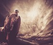Eagle sitting on a log against stormy sky