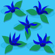 summer Flowers