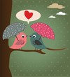 Birds and umbrellas