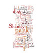The Story Of My Amazing Dog Called Shandy
