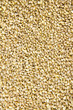 Pearl barley