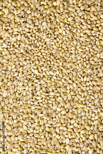 Photo: Pearl barley Pearl barley