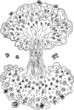 Vector: Tree of life with flowers and fruits Can see it upside down Tree of life with flowers and fruits Can see it upside down