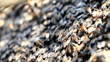 Video: close up of honey bees in a swarm make a hive background. close up of honey bees in a swarm make a hive background.